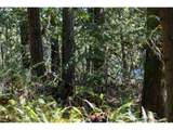  Ringo Rd - Photo 35