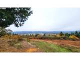  Mt David - Photo 9