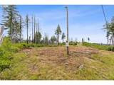  Viewcrest Ct - Photo 10