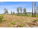  Viewcrest Ct - Photo 11