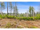  Viewcrest Ct - Photo 13