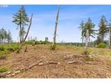  Viewcrest Ct - Photo 14