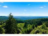9100 Livingston Mountain Ct - Photo 41
