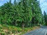  Bear Creek Rd - Photo 5