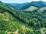  Bear Creek Rd - Photo 8