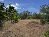 112 Timber Rd - Photo 15
