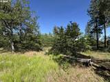 112 Timber Rd - Photo 29