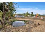 30306 Camas Swale Rd - Photo 19