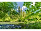 56483 Mckenzie Hwy - Photo 31