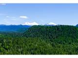 56483 Mckenzie Hwy - Photo 36