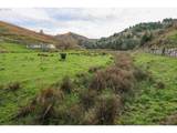 70033 Larsen Ranch Rd - Photo 30