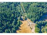 48638 Dement Creek Rd - Photo 10