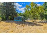 48638 Dement Creek Rd - Photo 11