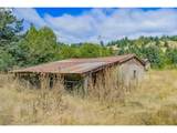 48638 Dement Creek Rd - Photo 12
