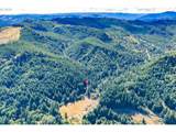 48638 Dement Creek Rd - Photo 46