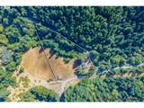 48638 Dement Creek Rd - Photo 8