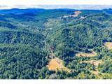 48638 Dement Creek Rd - Photo 9