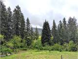 49244 Mountain View Rd - Photo 29