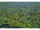 33765 Lake Front Dr - Photo 42