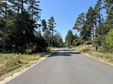 000 Puffin Ln - Photo 4