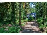 64277 Brightwood Loop Rd - Photo 33
