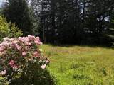 20452 Whaleshead Rd - Photo 15