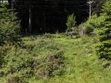 20452 Whaleshead Rd - Photo 27