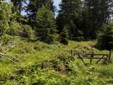 20452 Whaleshead Rd - Photo 30