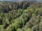 20452 Whaleshead Rd - Photo 9