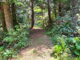 93490 Fir Rd - Photo 35