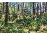  Cedar Terraces - Photo 11