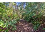  Cedar Terraces - Photo 14