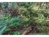  Cedar Terraces - Photo 15