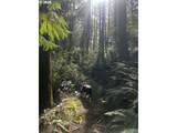  Cedar Terraces - Photo 2