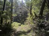  Cedar Terraces - Photo 4