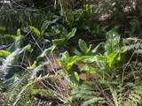  Cedar Terraces - Photo 5