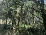  Cedar Terraces - Photo 6