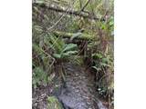  Cedar Terraces - Photo 7