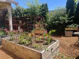 323 Pacific Hills Dr - Photo 12