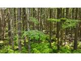  Clatsop Ln - Photo 10