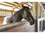295 Kangas Rd - Photo 13