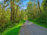  Upper North Fork Rd - Photo 11