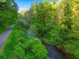  Upper North Fork Rd - Photo 14