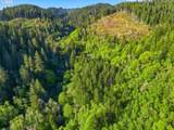  Upper North Fork Rd - Photo 19