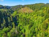  Upper North Fork Rd - Photo 2