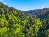  Upper North Fork Rd - Photo 7