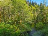  Upper North Fork Rd - Photo 9