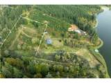 71399 Heavy Horse Rd - Photo 1