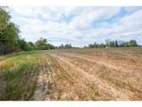  Parcel 3 Oak Grove - Photo 33