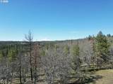 57 Klickitat Mountain M - Photo 11
